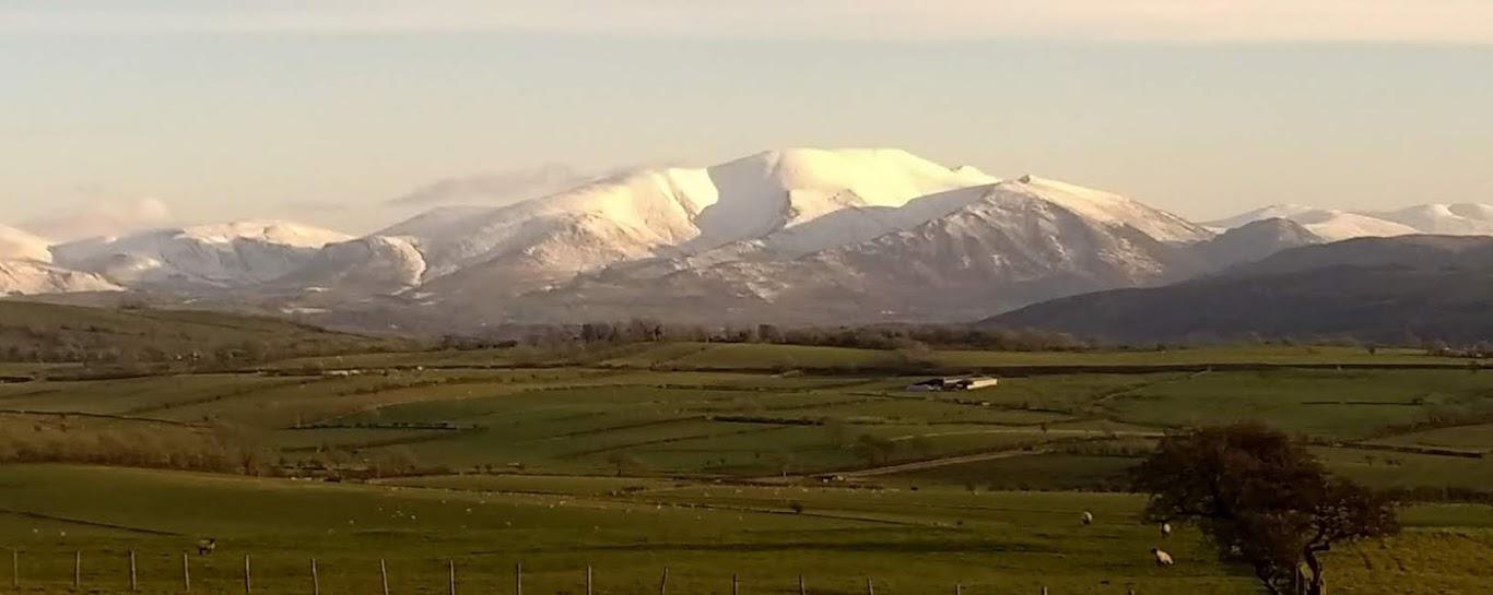 Lakes Fells from Tallentire Hill